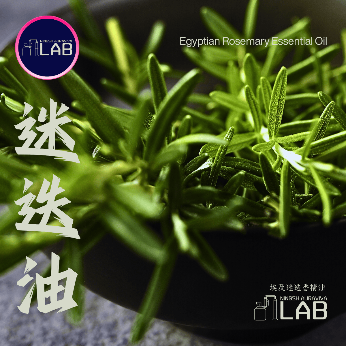 迷迭香精油 30ml 依花期時價調整