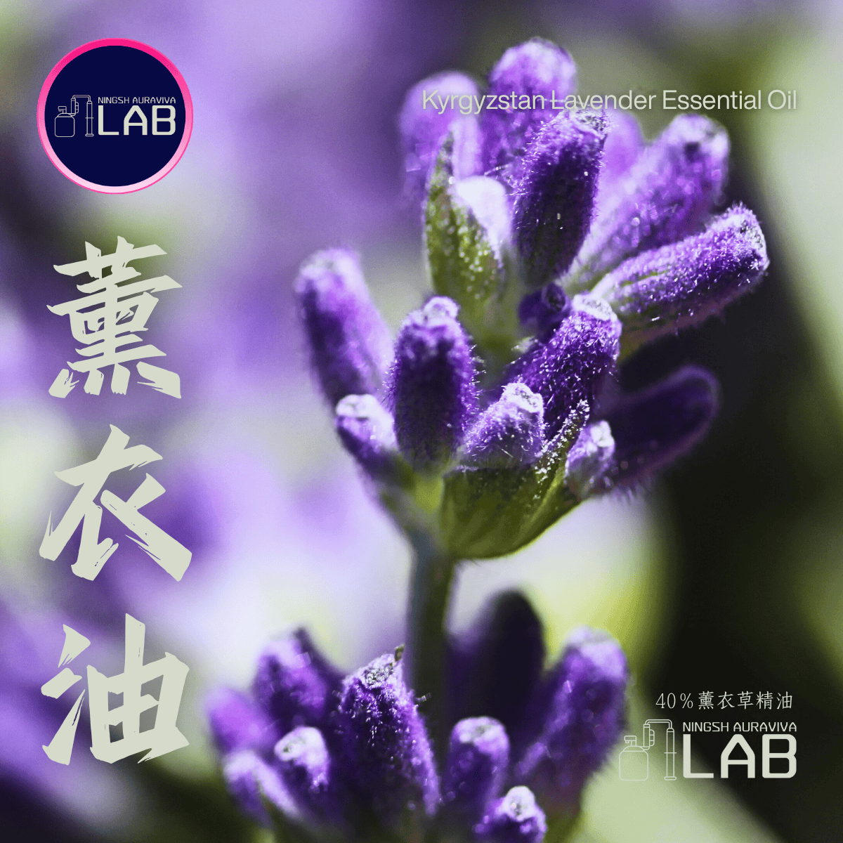 薰衣草精油 30ml 依花期時價調整