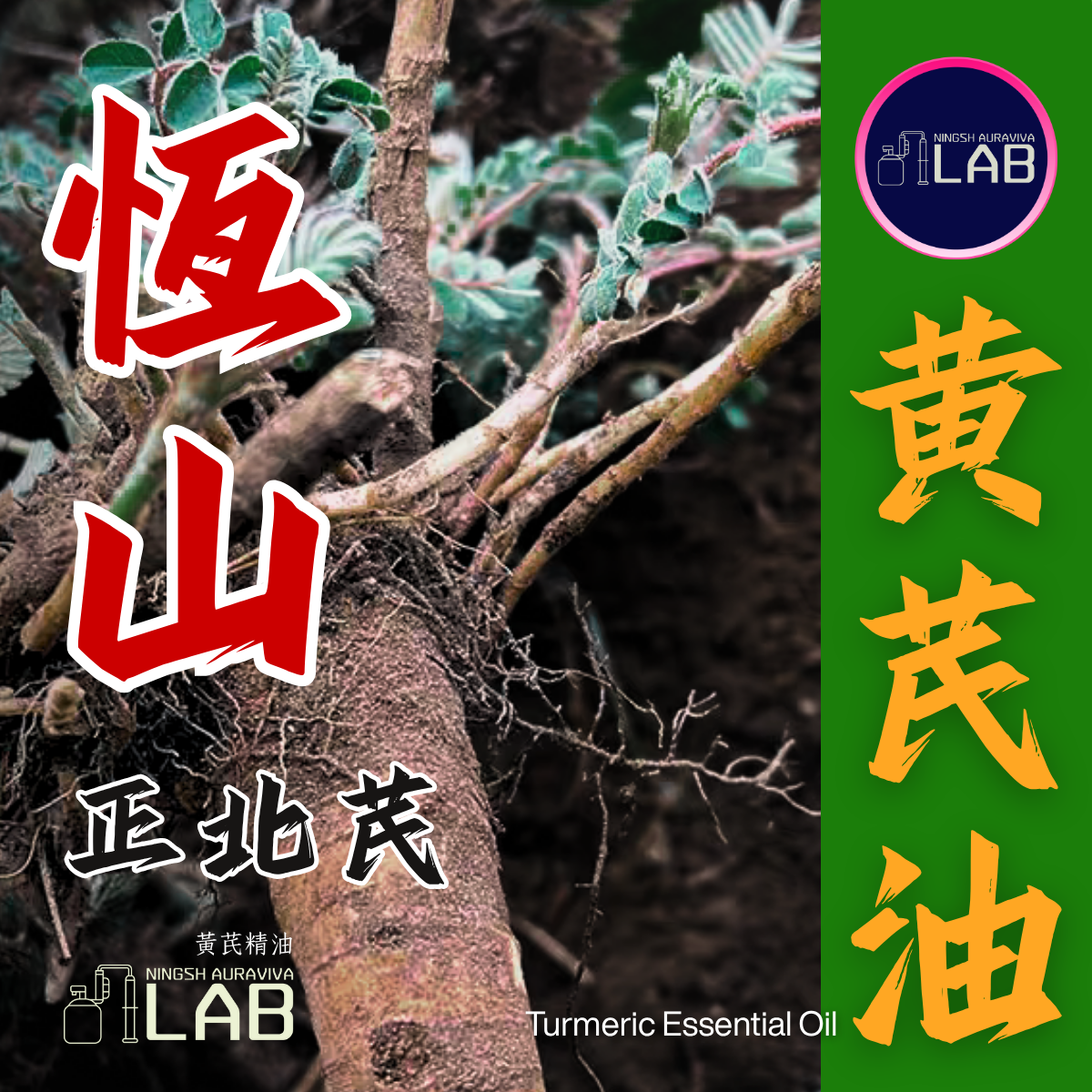 恆山正北芪 黃芪精油 ｜大補氣 淡膚珍品（依農期時價）