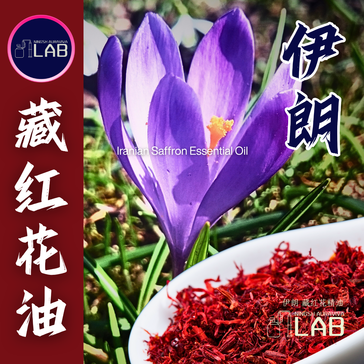 伊朗藏紅花精油 15ml｜（依花期時價）