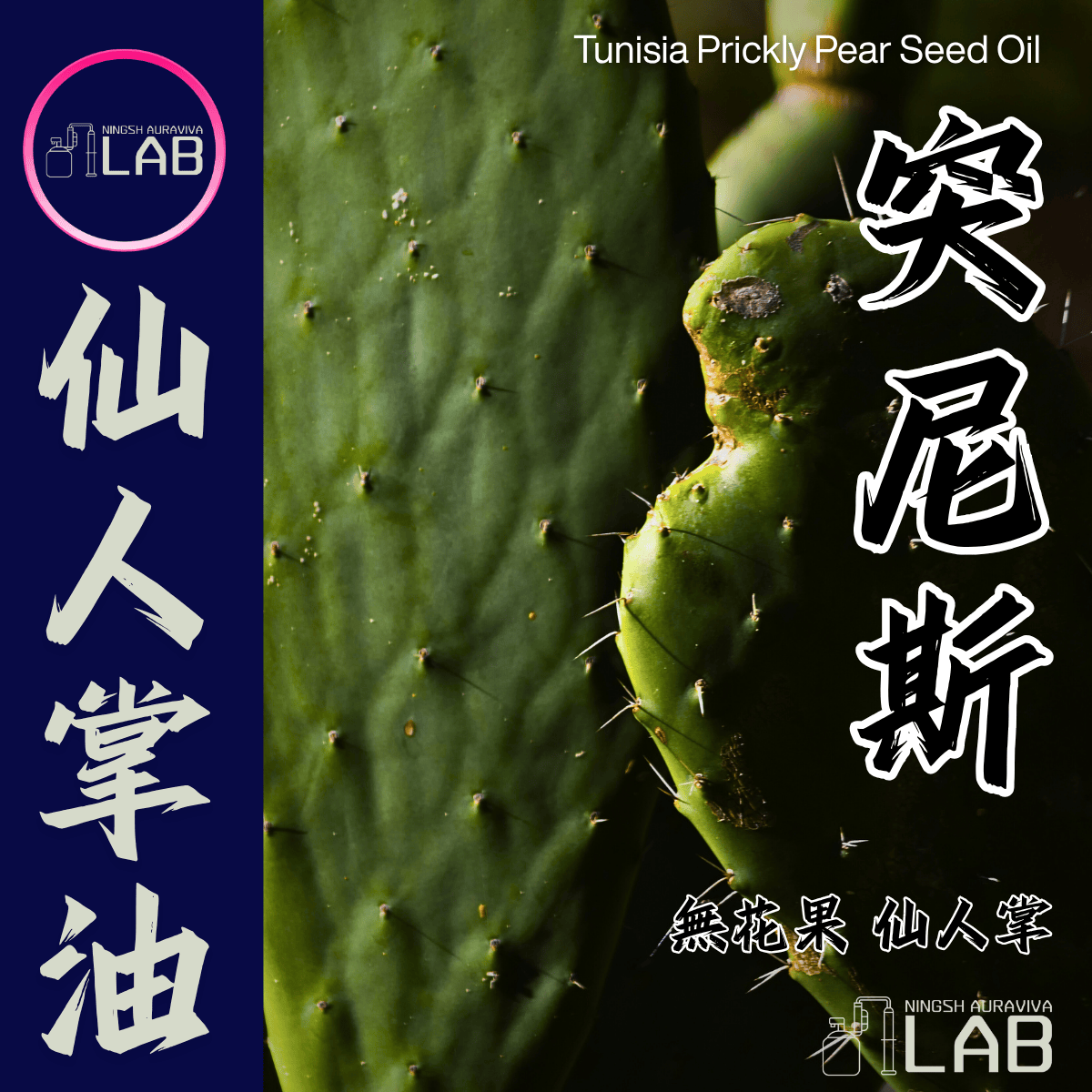 突尼斯亞仙人掌油30ml 3/13-3/31在上海