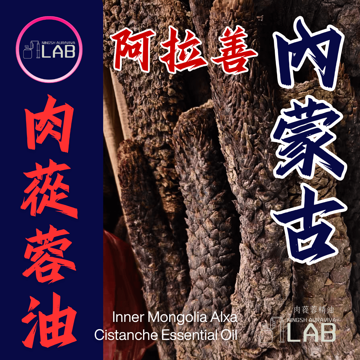 內蒙古阿拉善 肉蓯蓉精油15ml｜太陽能量祕品 依農期時價