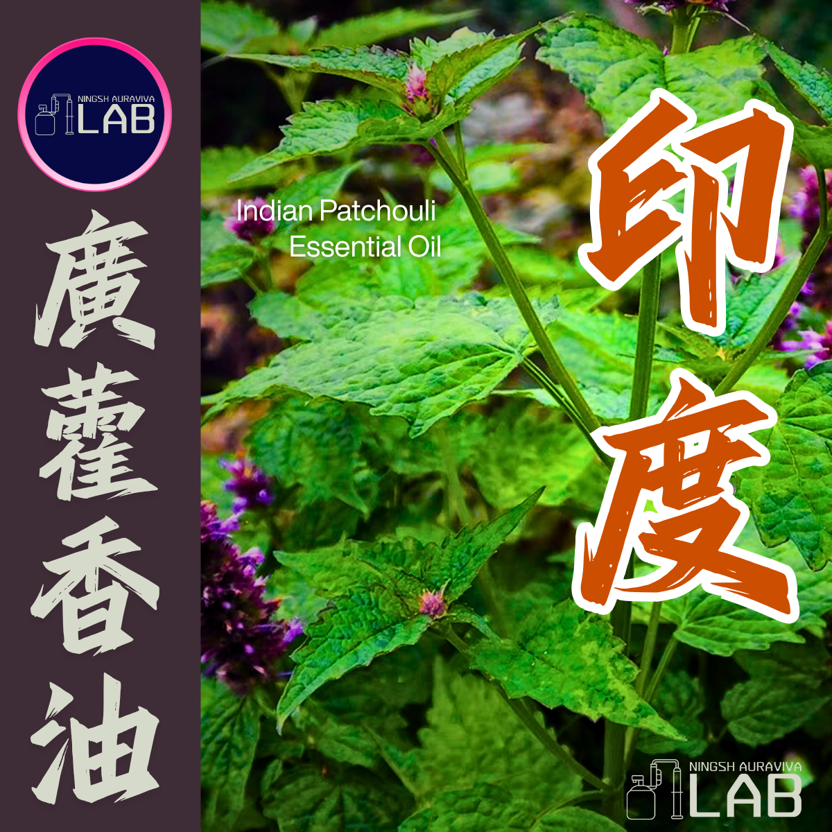 印度 廣藿香精油 20ml  3/13-3/31在上海