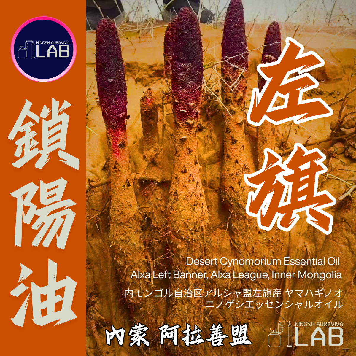 內蒙阿拉善盟左旗 鎖陽精油15ml 3/13-3/31在上海