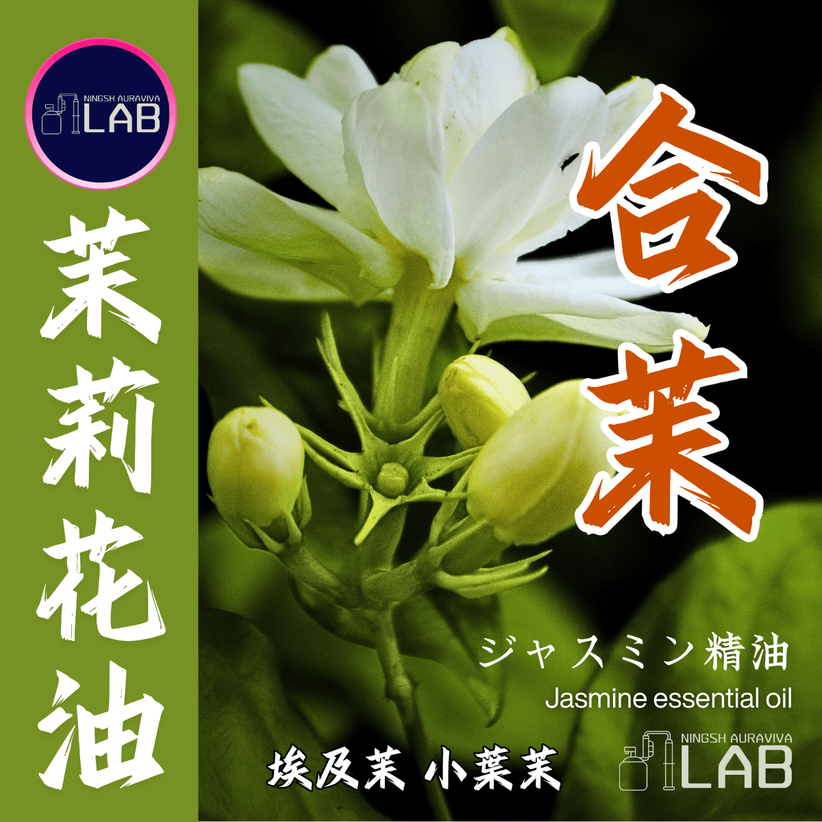 茉莉精油 10ml  3/13-3/31在上海