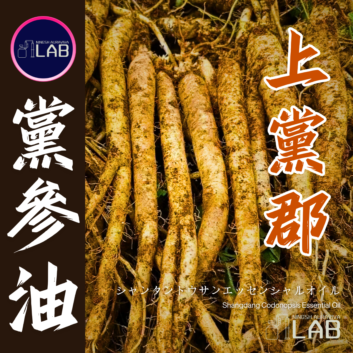 上黨郡 黨參精油15ml 3/13-3/31在上海