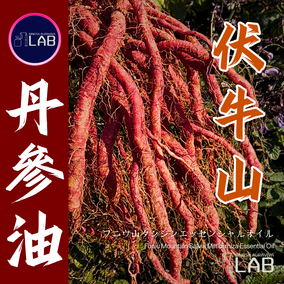 伏牛山 丹參精油15ml 3/13-3/31在上海