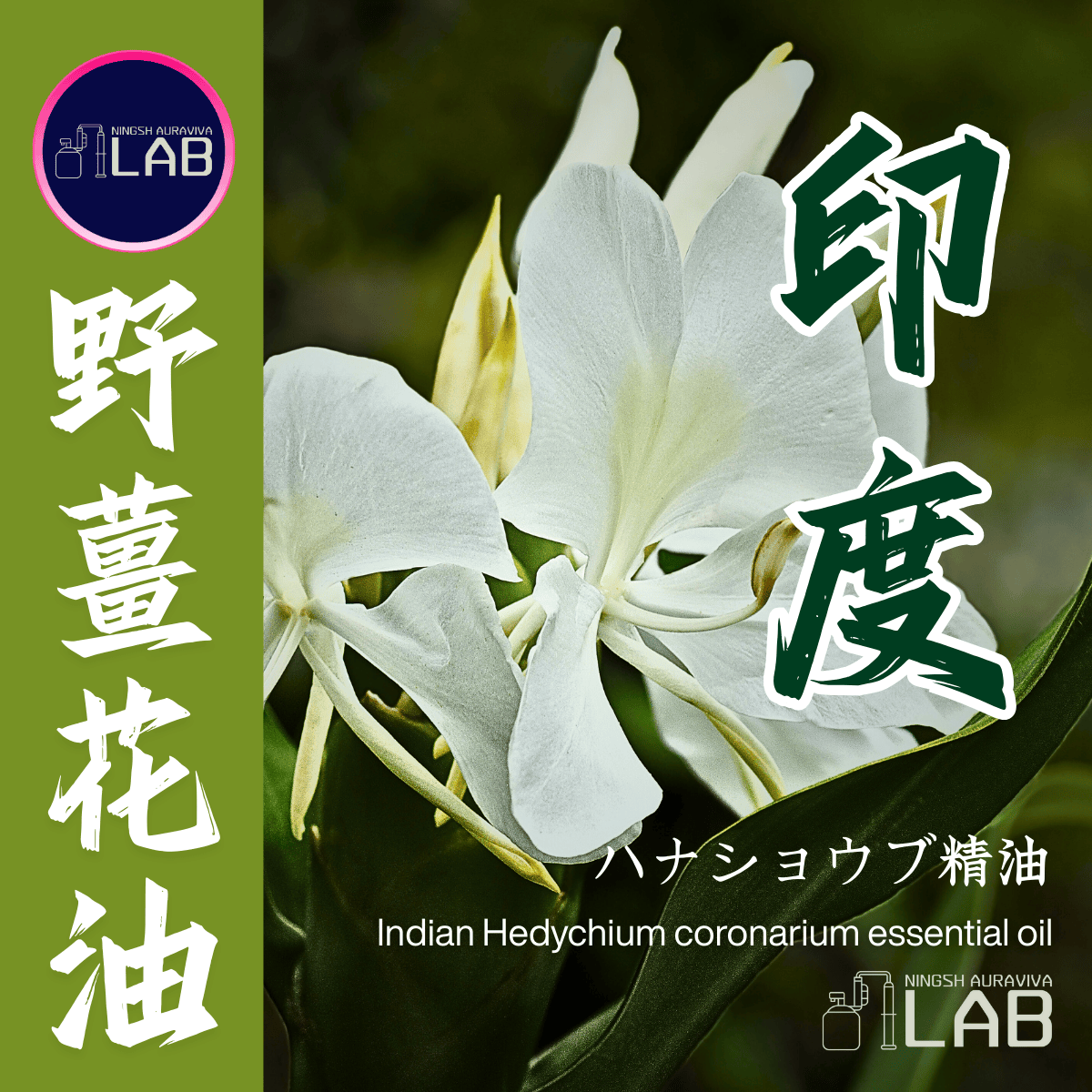 印度野薑花精油 3/13-3/31在上海