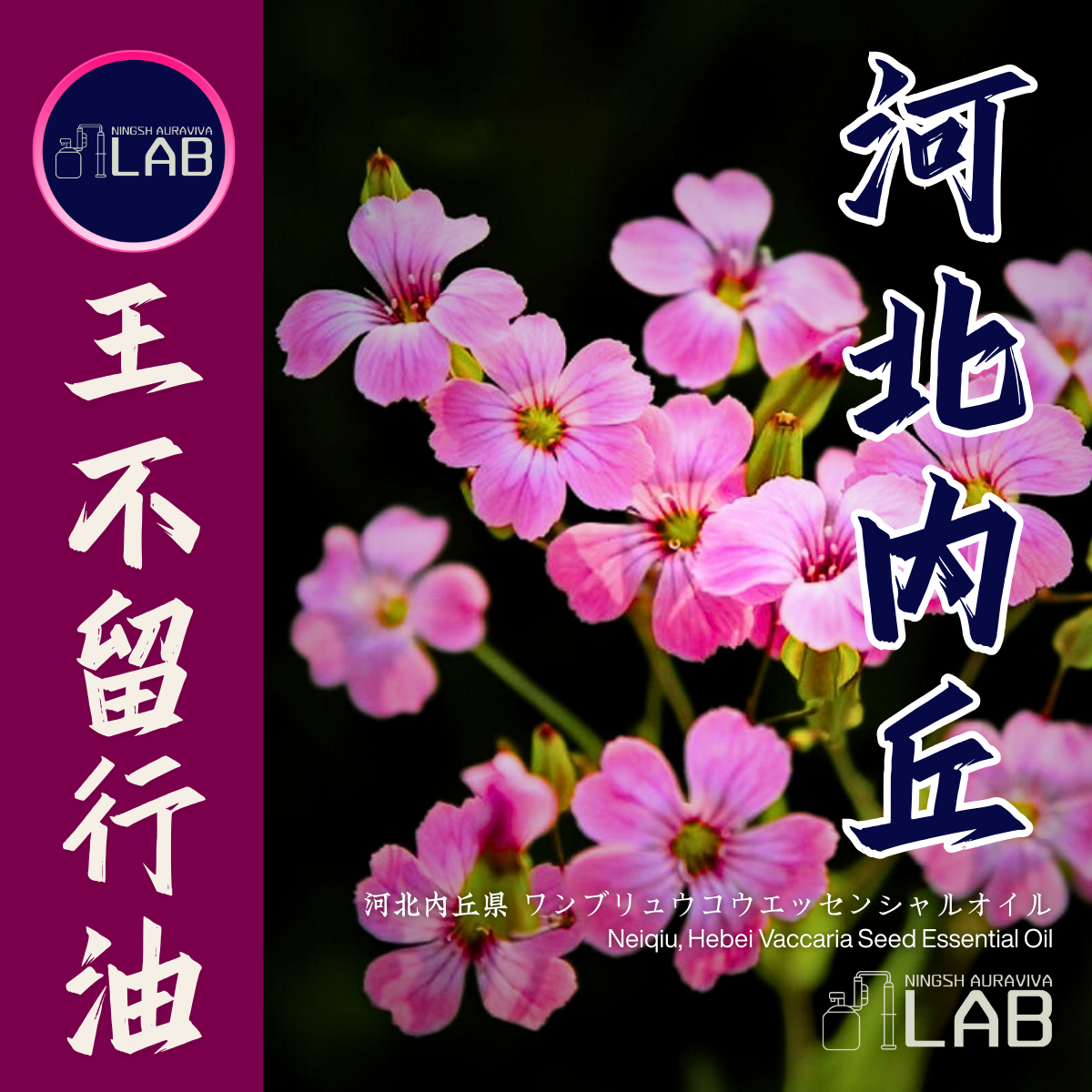 河北內丘 王不留行精油15ml 3/13-3/31在上海