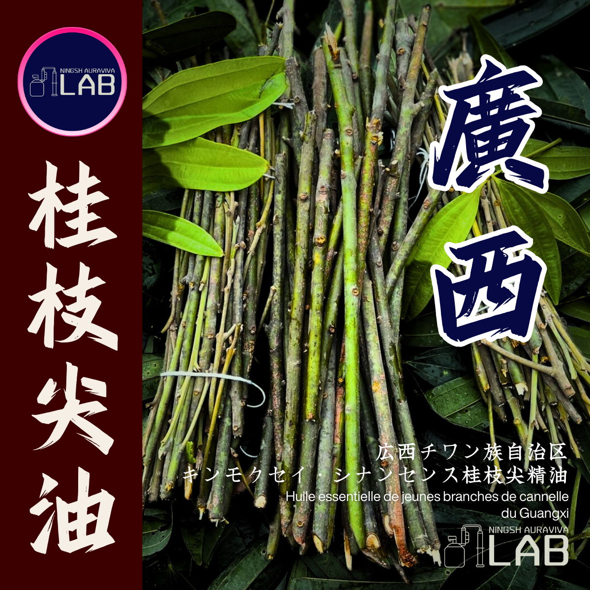 廣西桂枝尖精油15ml 3/13-3/31在上海