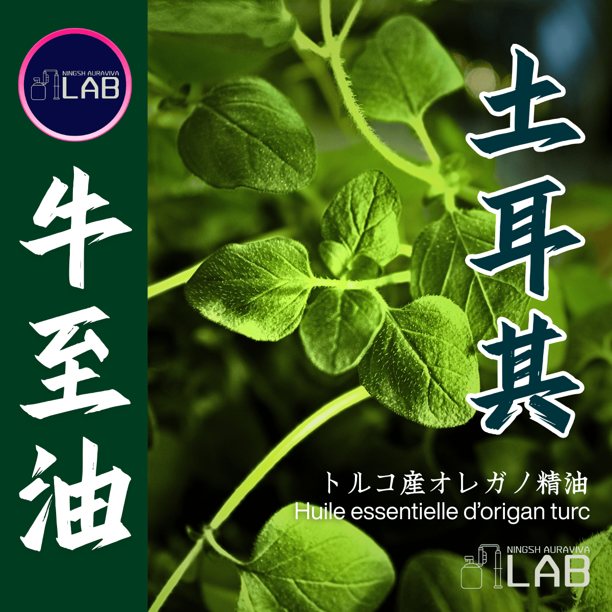 土耳其 超級牛至精油15ml 3/13-3/31在上海