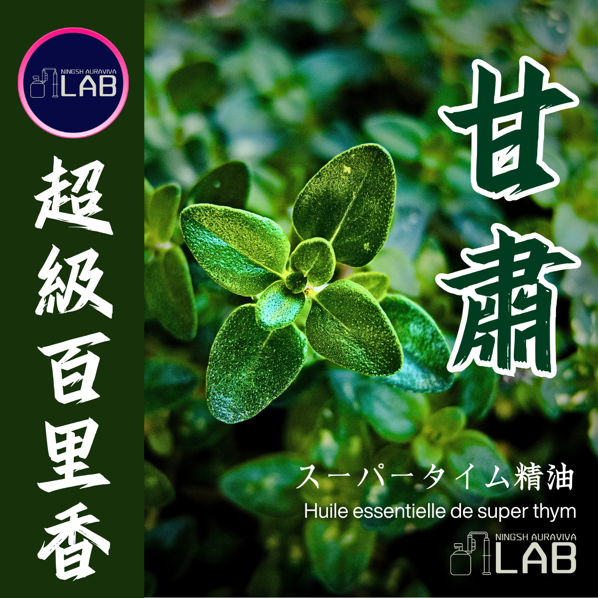 甘肅超級百里香精油15ml 3/13-3/31在上海