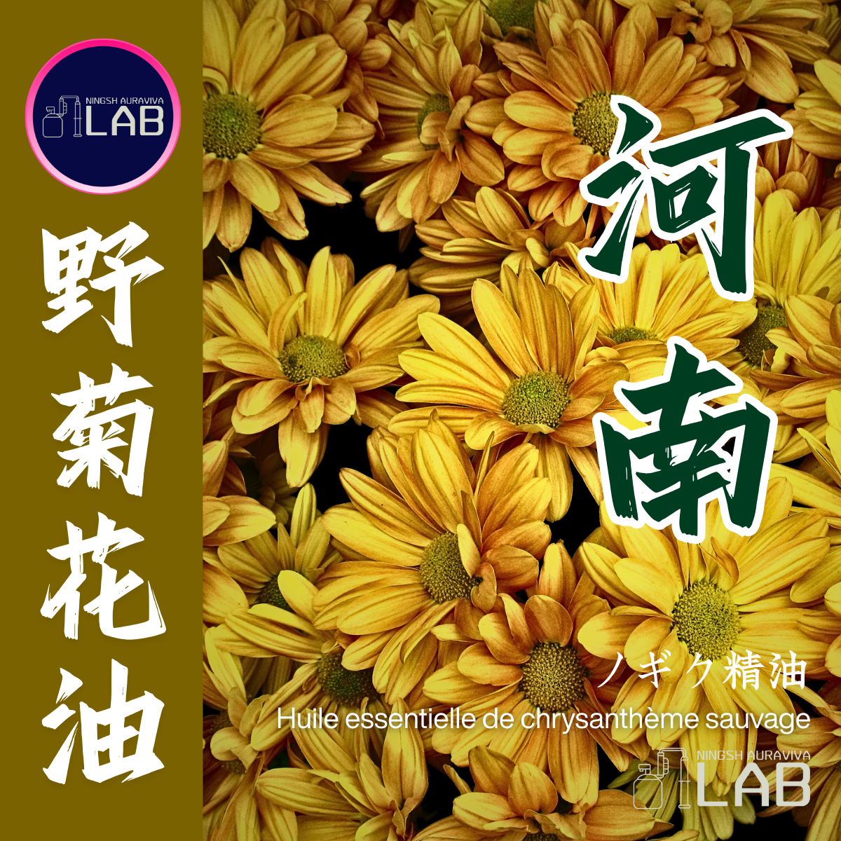河南正統菊科 野菊花精油20ml 3/13-3/31在上海