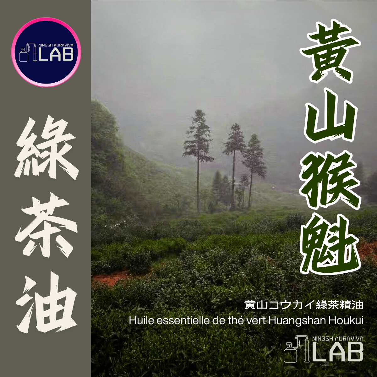 黃山猴魁 綠茶精油 15ml 3/13-3/31在上海