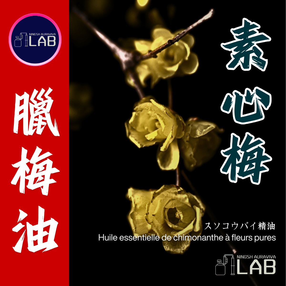 素心梅 臘梅精油 20ml 3/13-3/31在上海