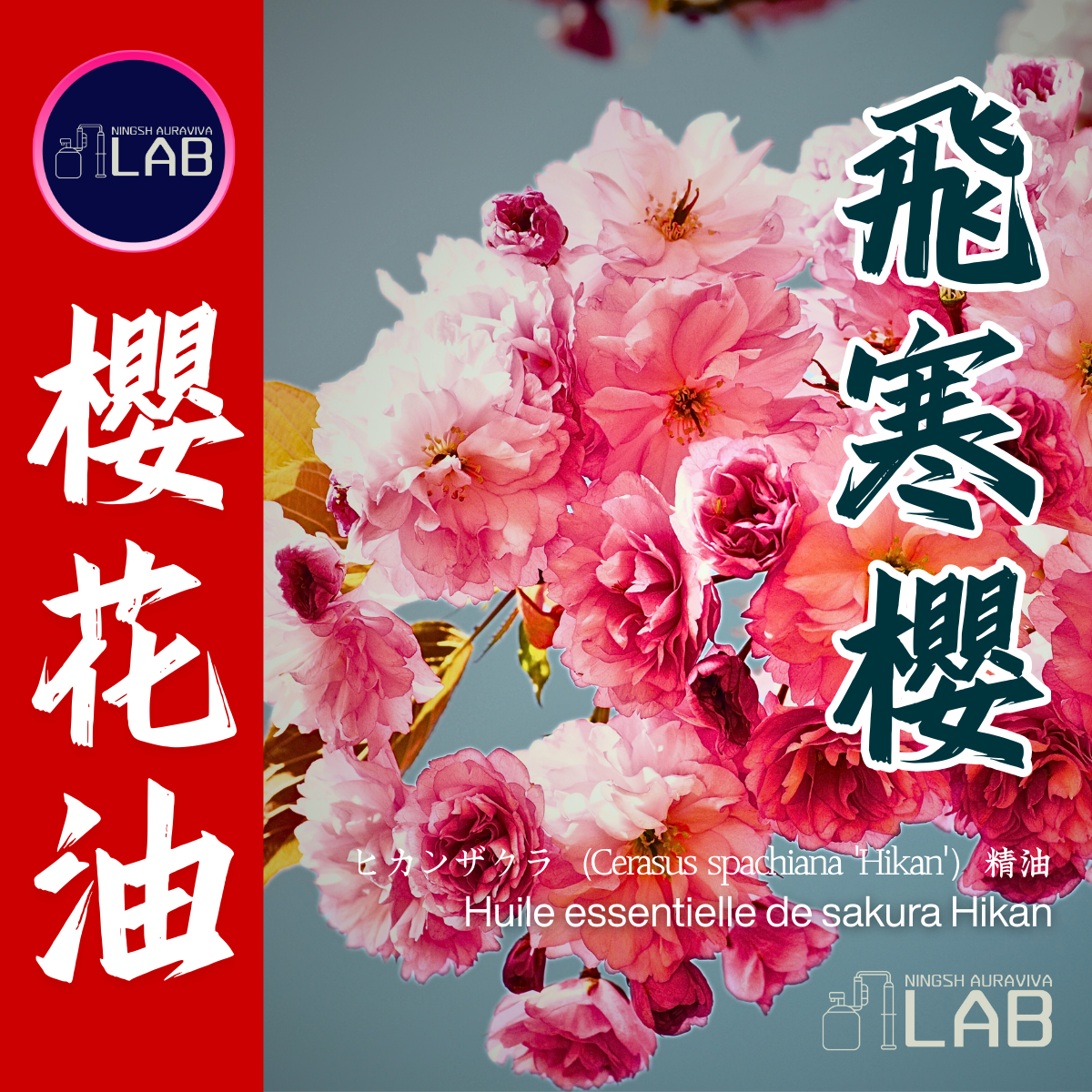 飛寒櫻 櫻花精油 15ml 3/13-3/31在上海