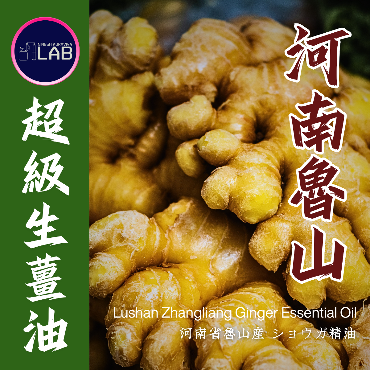 河南魯山超級生薑精油 張良薑 15ml 3/13-3/31在上海