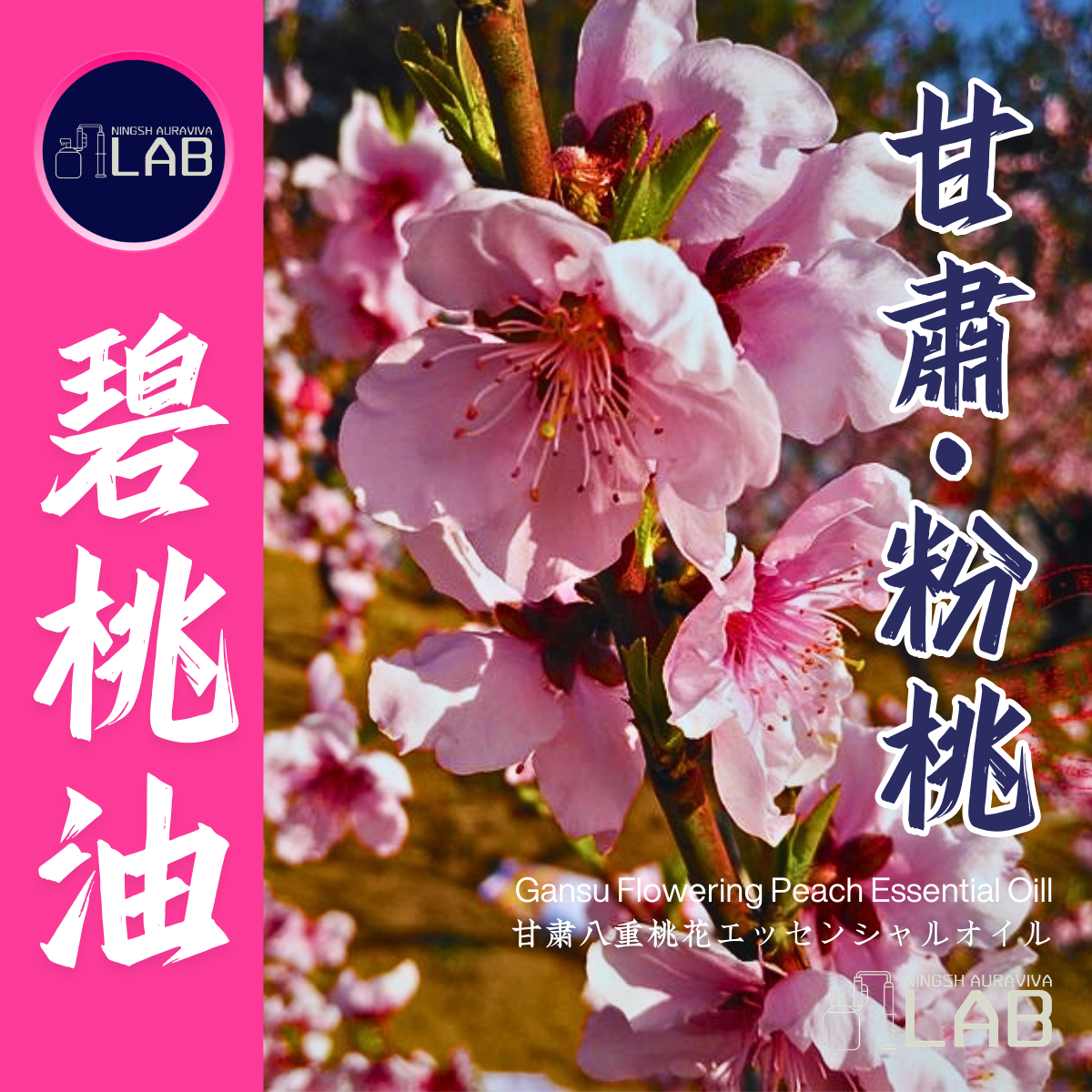 甘肅 桃花精油15ml 3/13-3/31在上海