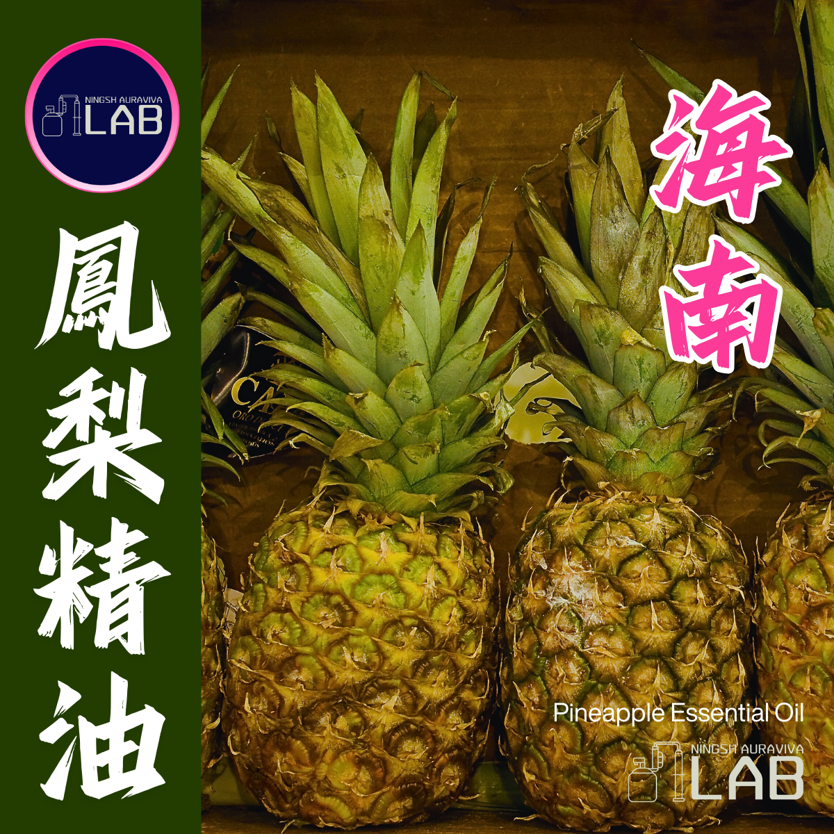 海南鳳梨精油 20ml
