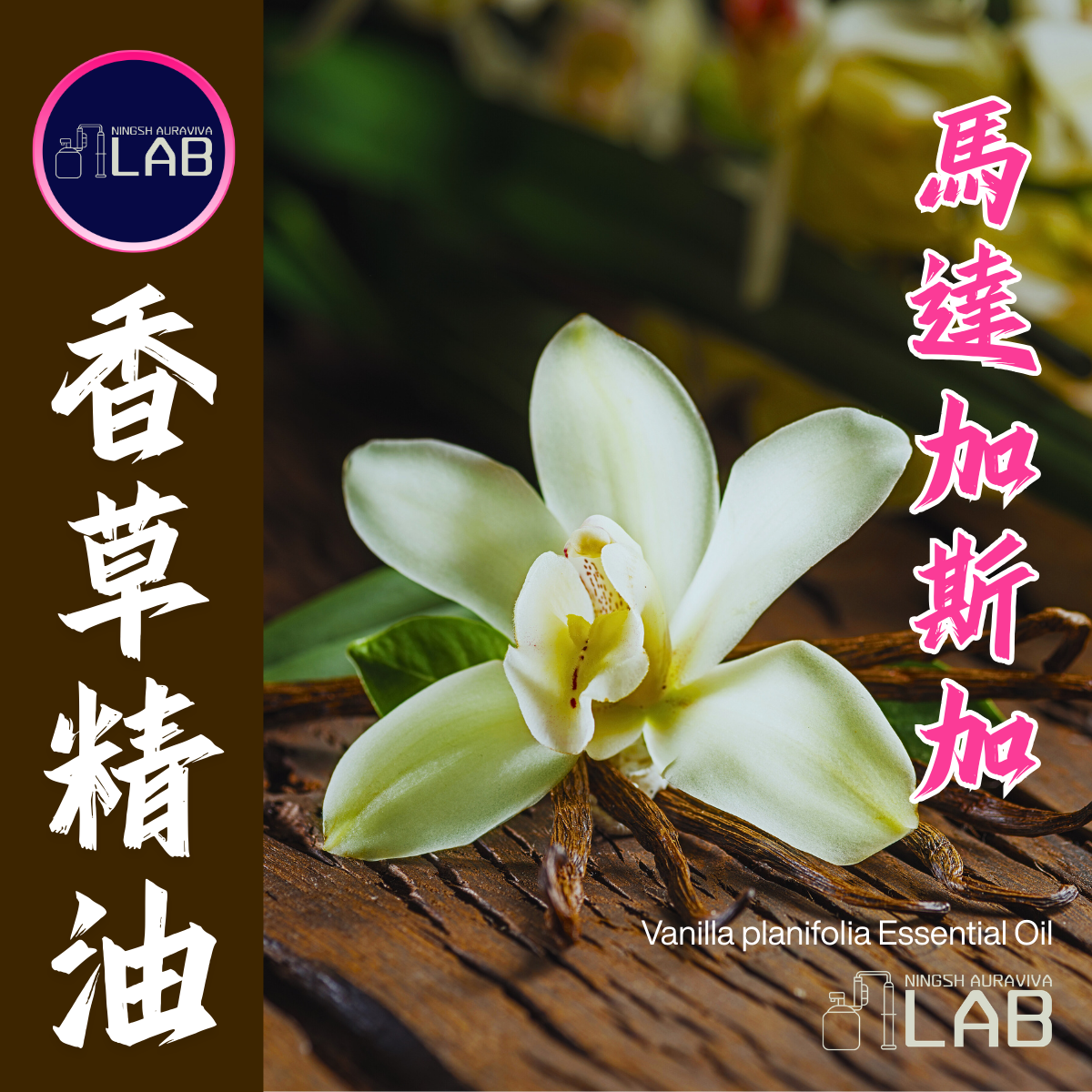 馬達加斯加 香草精油