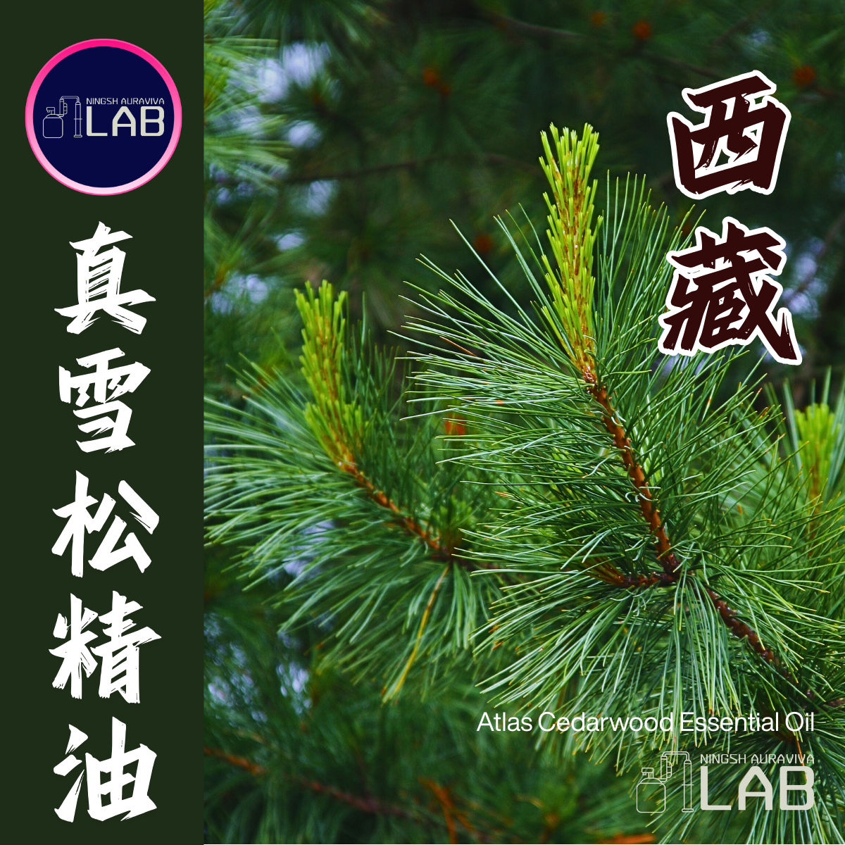 西藏真雪松精油