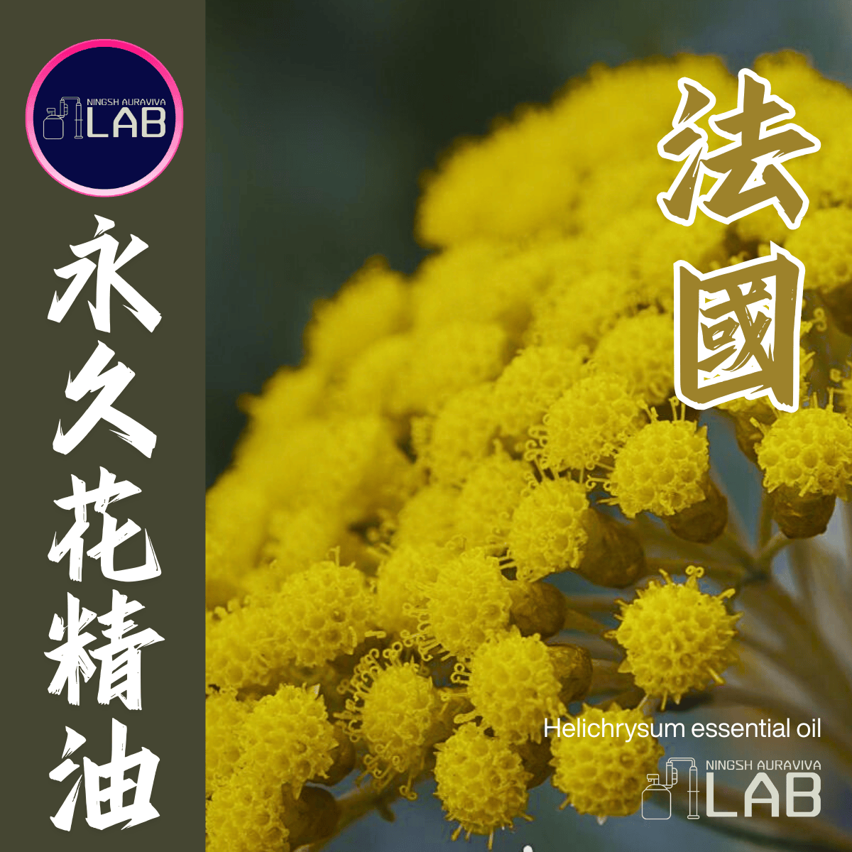 法國永久花精油