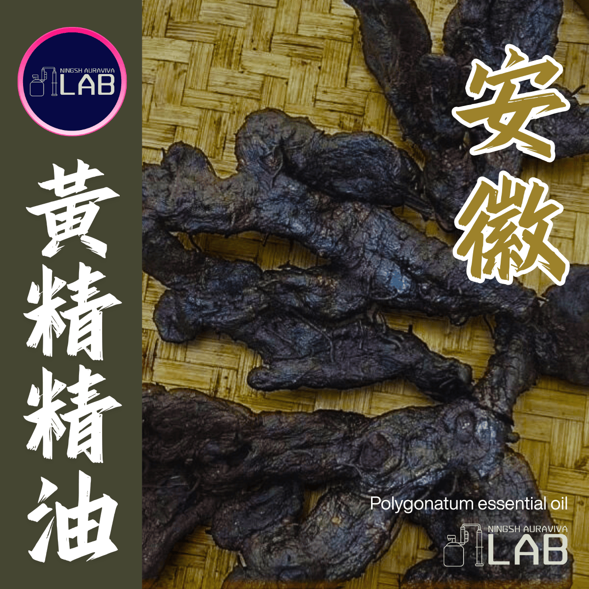 安徽九華山黃精精油