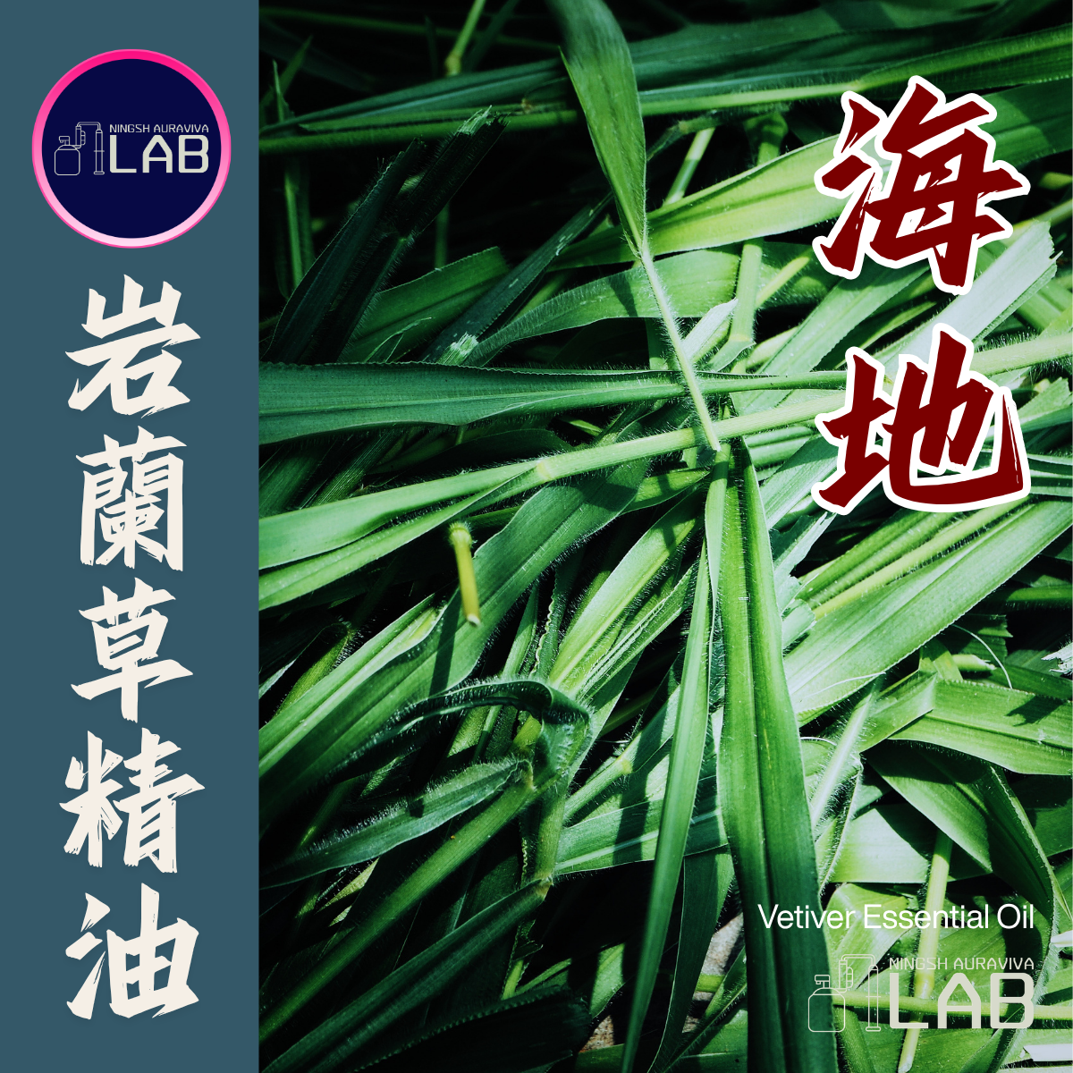 海地 岩蘭草精油15ml