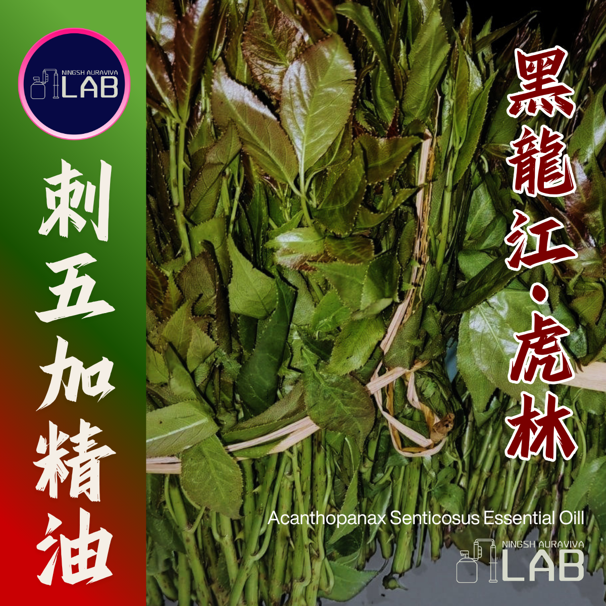 黑龍江刺五加精油 15ml