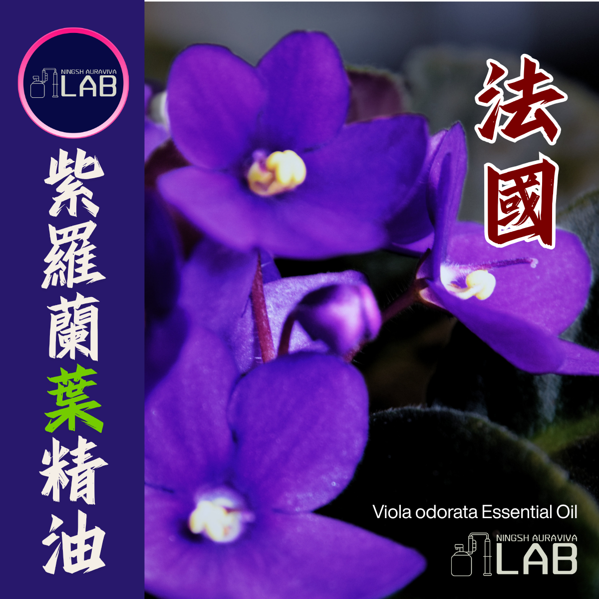 法國紫羅蘭 （葉） 精油 15ml