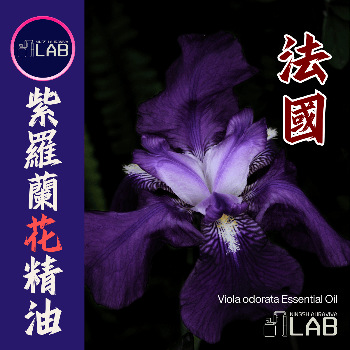 法國紫羅蘭 （花） 精油 15ml