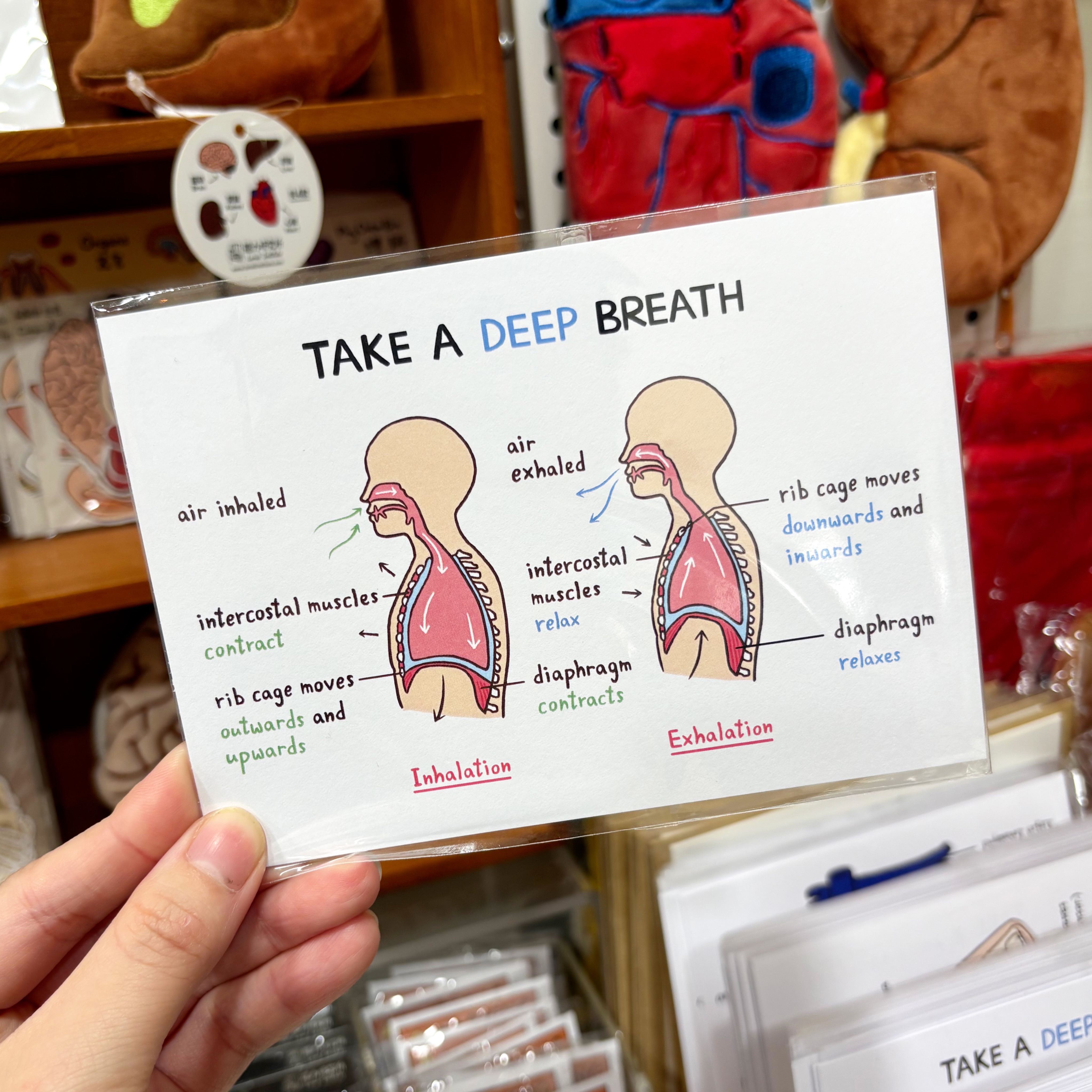 腦力研究所 - 明信片