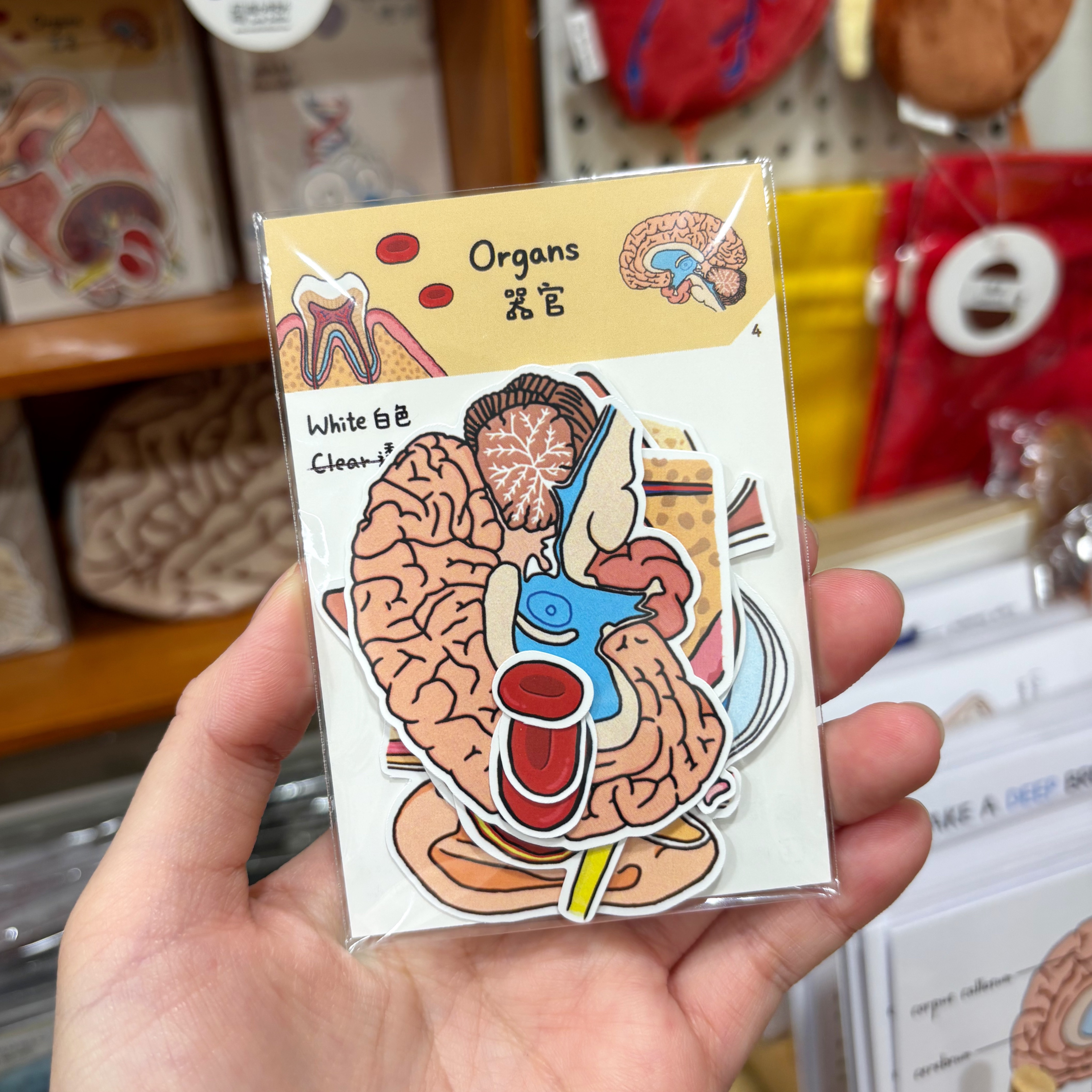 腦力研究所 - 貼紙包