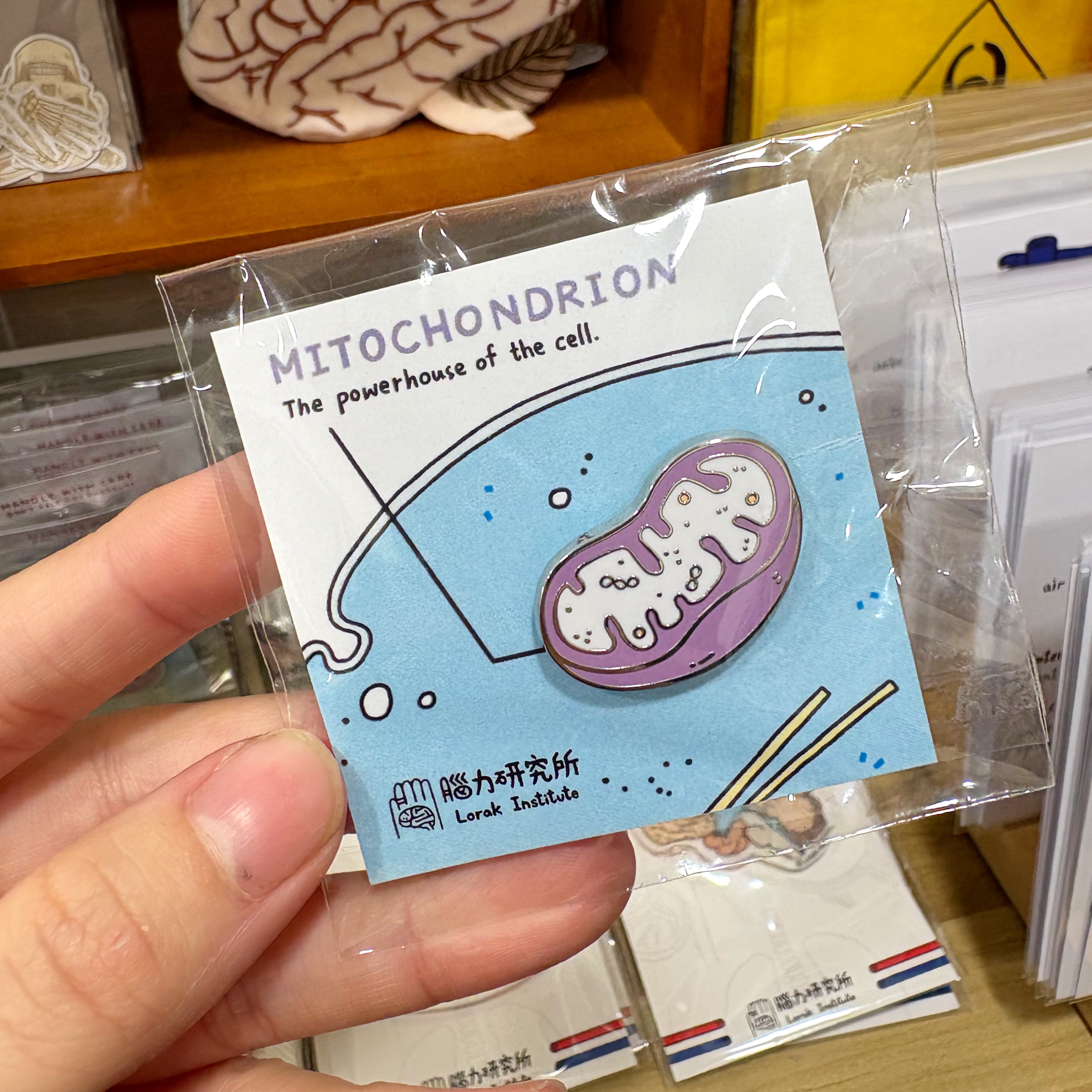 腦力研究所 - 徽章