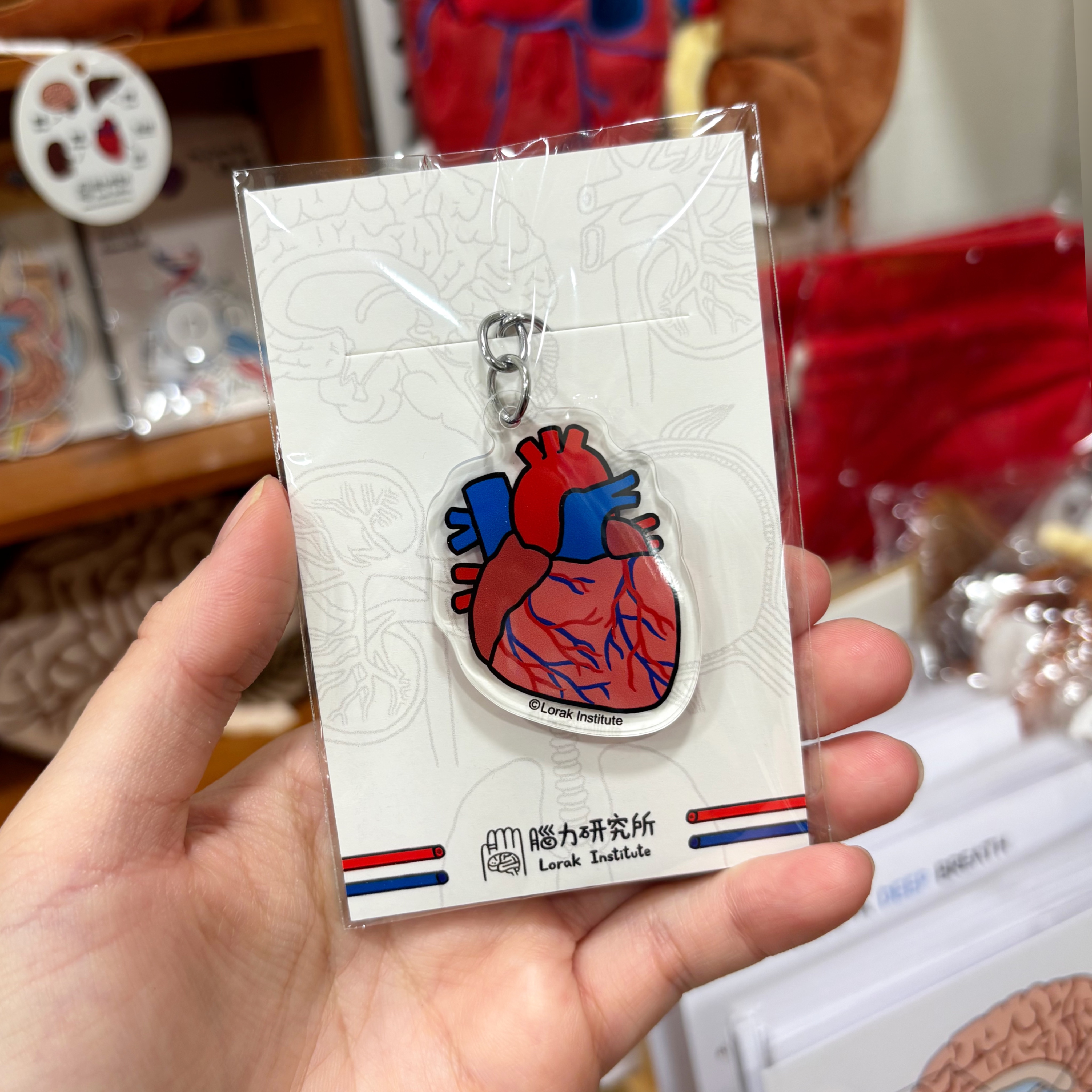 LIK004-160元 腦力研究所 - 大腦鑰匙圈