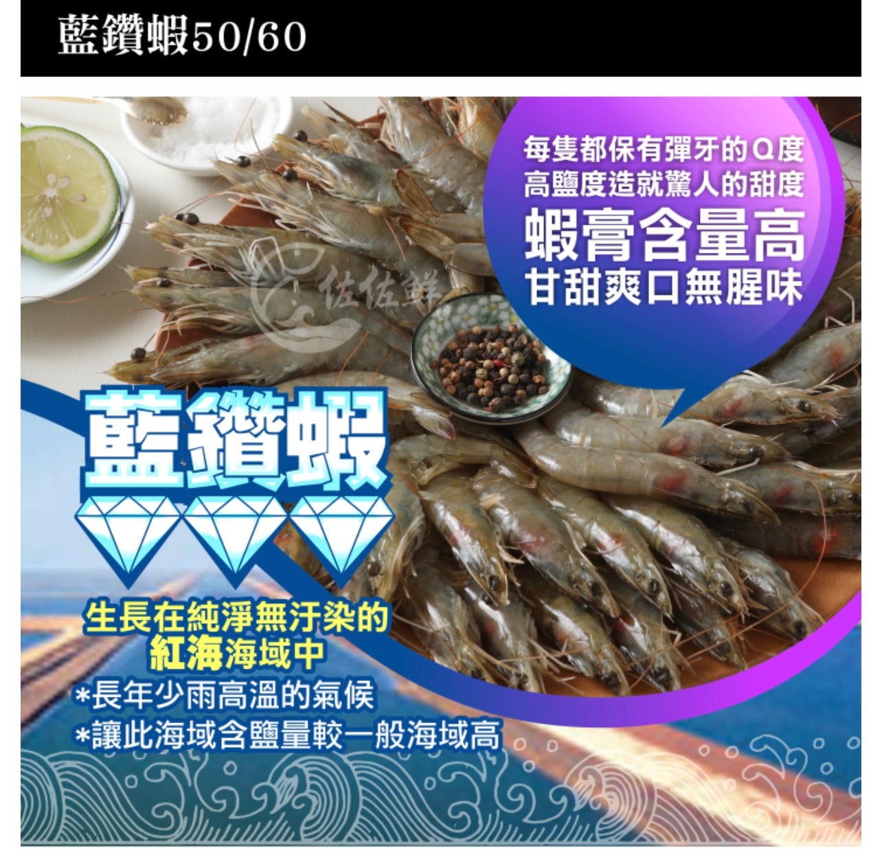 阿拉伯皇室御用藍鑽蝦50-60隻