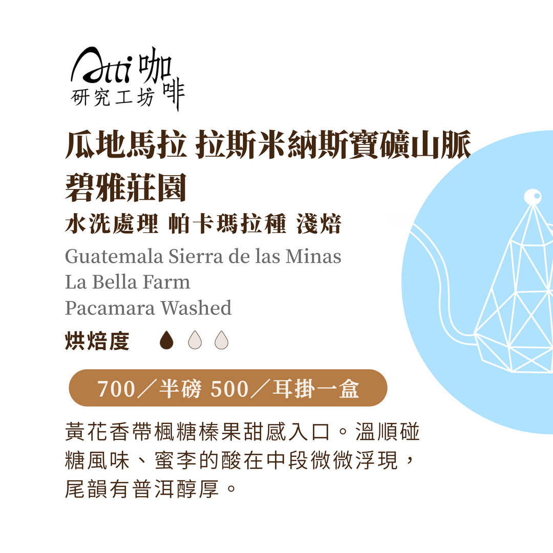 瓜地馬拉-拉斯米納斯寶礦山脈-碧雅莊園-帕卡瑪拉-水洗-淺焙