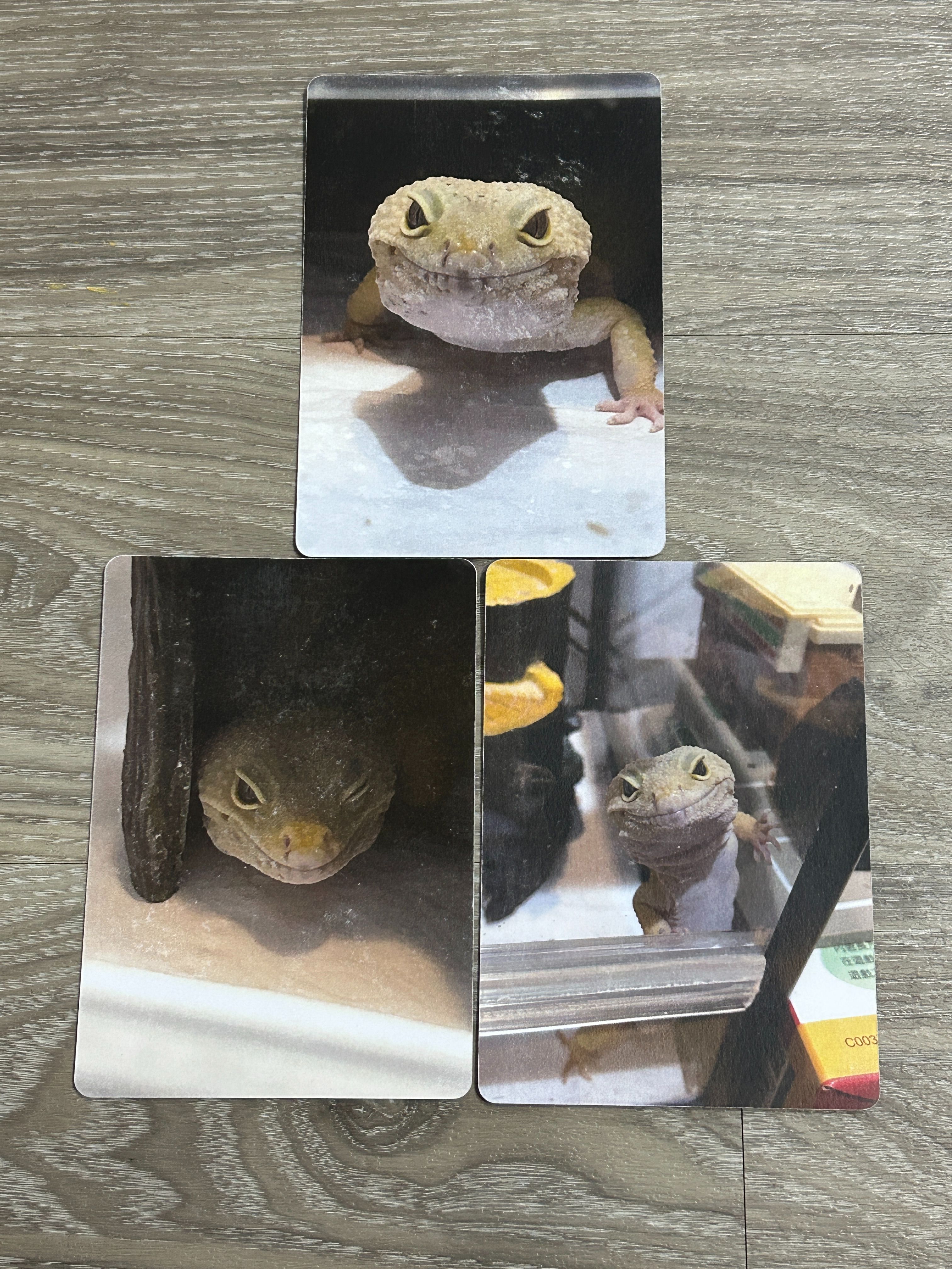 奧辛寫真明信片