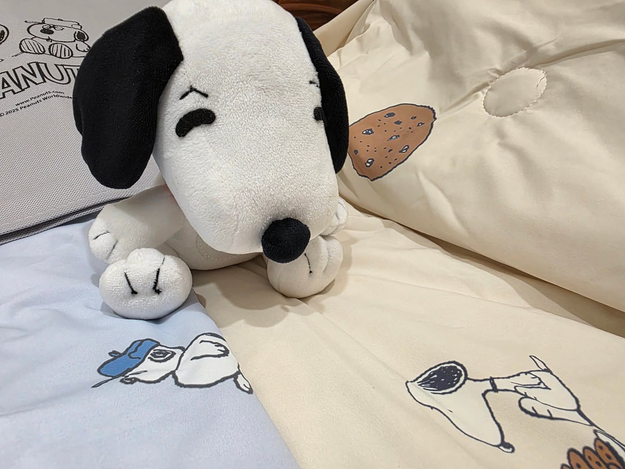Snoopy、歐拉夫冰冰被
