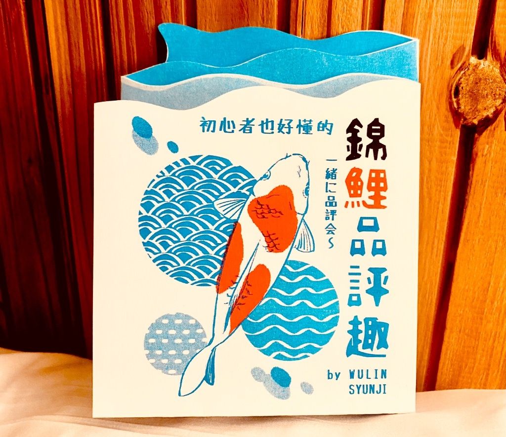 初心者也好懂的錦鯉品評趣