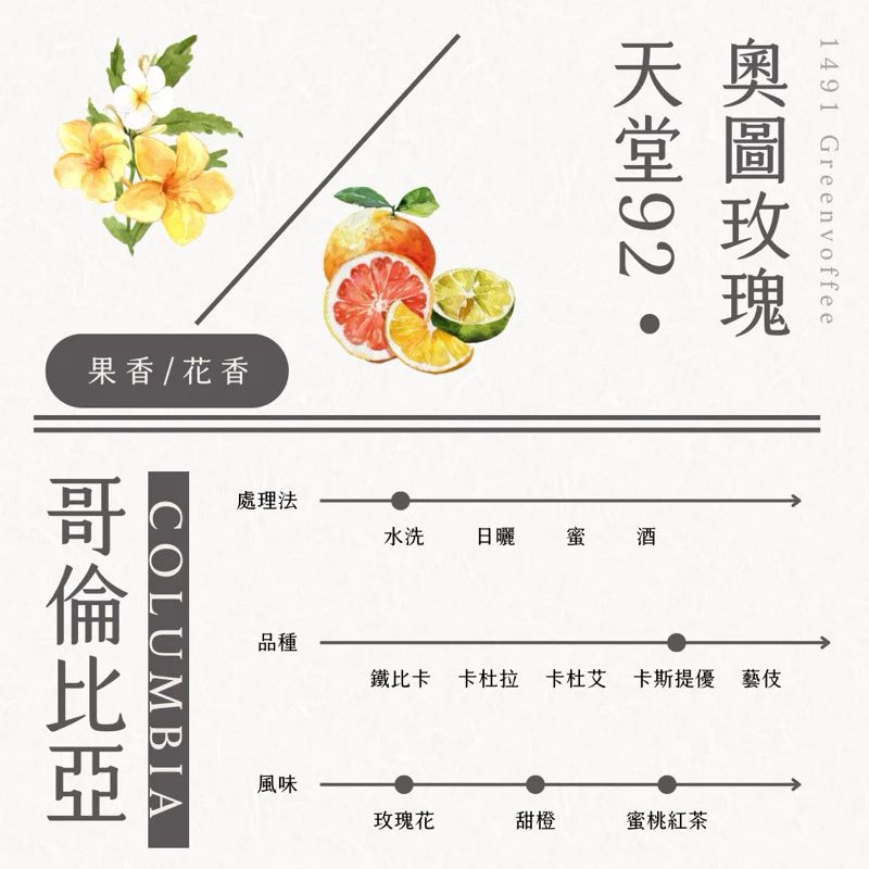 哥倫比亞 天堂92 奧圖玫瑰 熱沖擊水洗