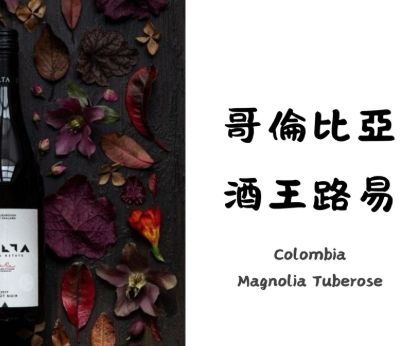 哥倫比亞 路易酒王 酒桶發酵水洗