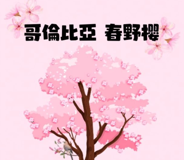 哥倫比亞 春野櫻 厭氧發酵