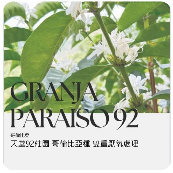 哥倫比亞 天堂92莊園 熱衝擊雙重發酵