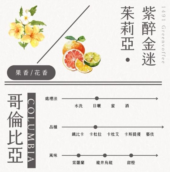 哥倫比亞 茱莉亞莊園 紫醉金迷 冰雪日曬