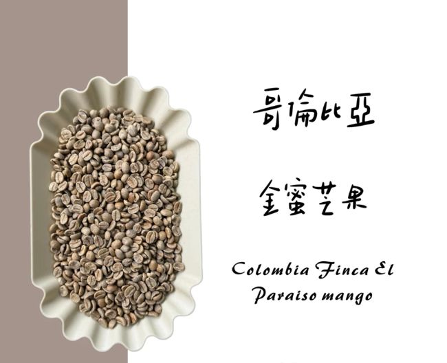 哥倫比亞 金蜜芒果 厭氧日曬