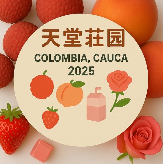 哥倫比亞 天堂莊園 蜜桃荔荔 厭氧蜜處理