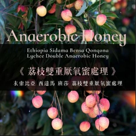 衣索比亞 班莎 荔枝酵母蜜處理