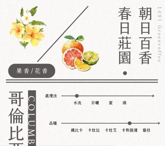 哥倫比亞 朝日百香果 水果酵母蜜處理