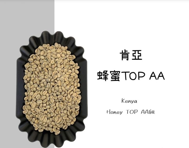 肯亞 涅里產區 蜂蜜 AA TOP 水洗